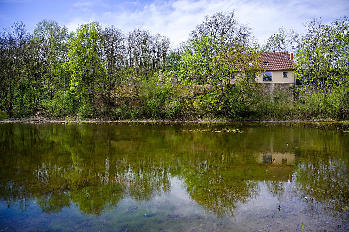 View of a muddy pond with a house and trees on the bank