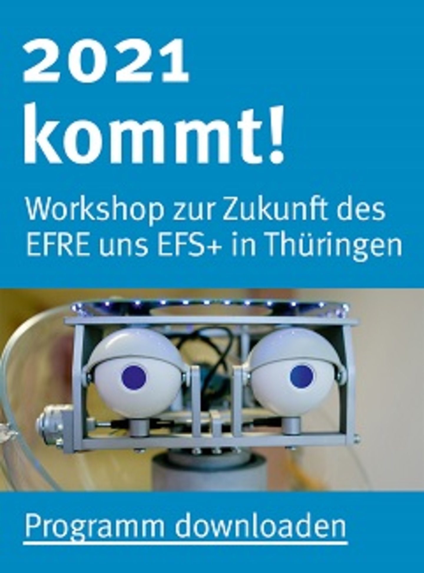 [Translate to English:] Workshopflyer